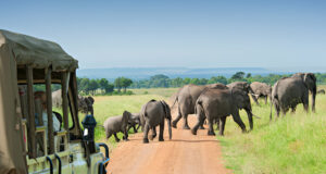 LUXURIOUS SAFARI STAYS IN THE HEART OF MAASAI MARA