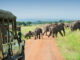 LUXURIOUS SAFARI STAYS IN THE HEART OF MAASAI MARA